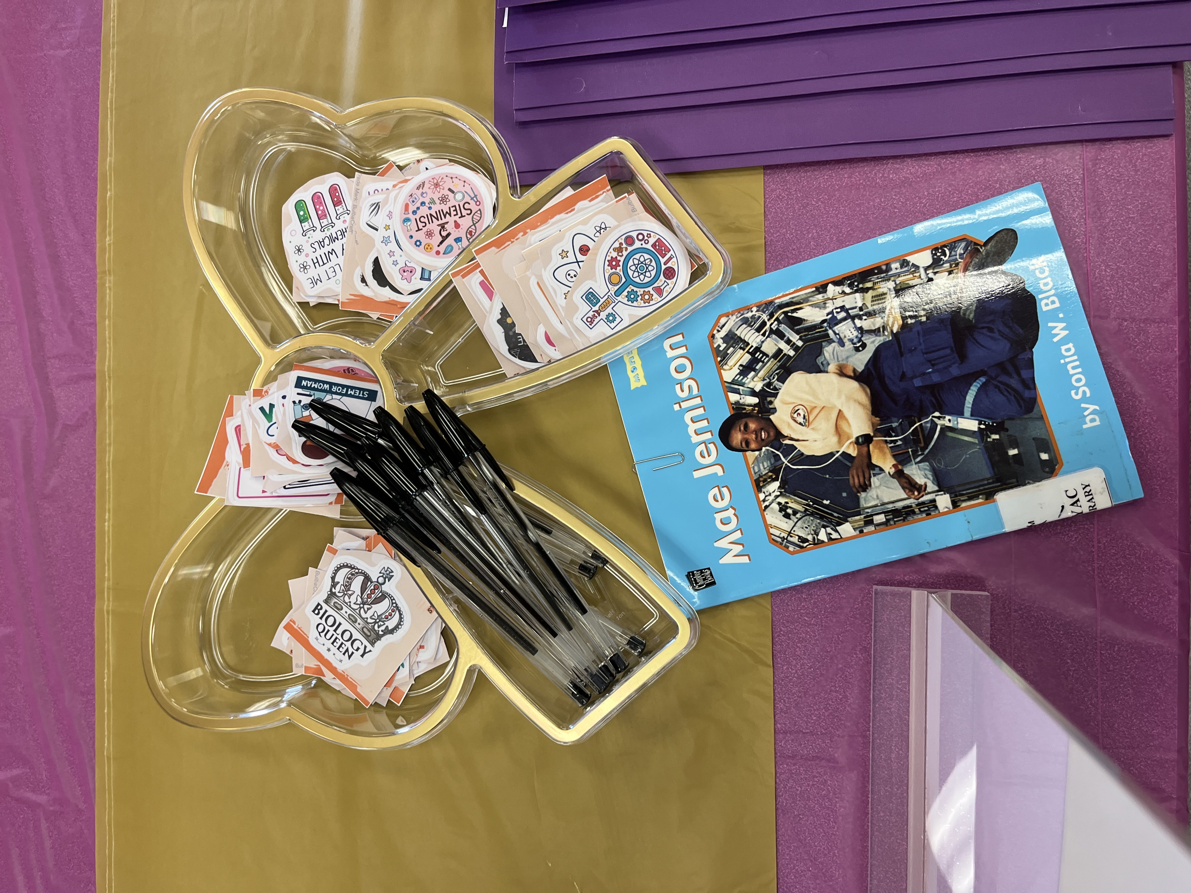 Mae Jemison book, STEM stickers, and educational resources at the orientation table.
